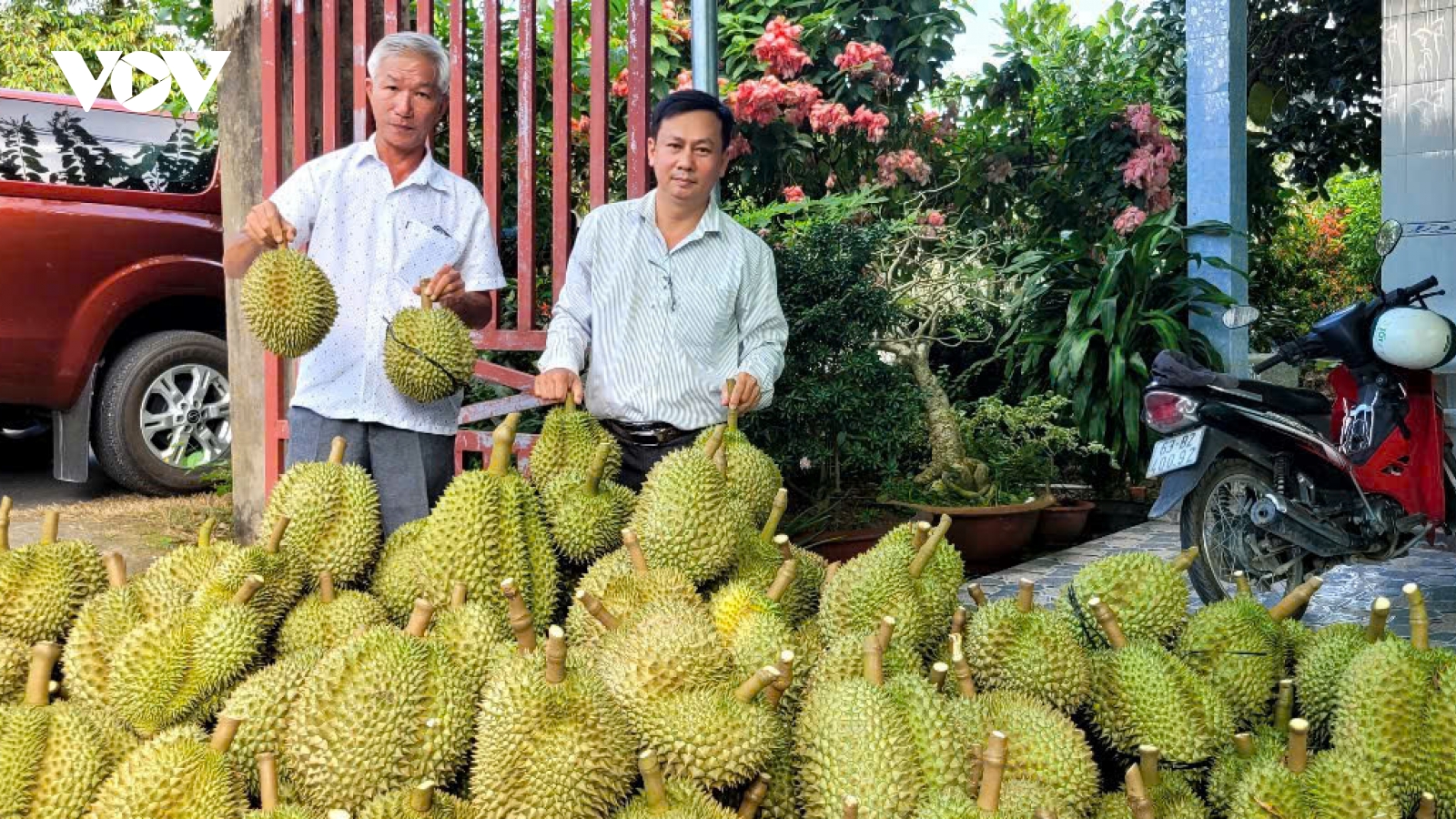 Nông dân tỉnh Đồng Tháp phấn khởi khi nhiều mặt hàng nông sản tăng giá